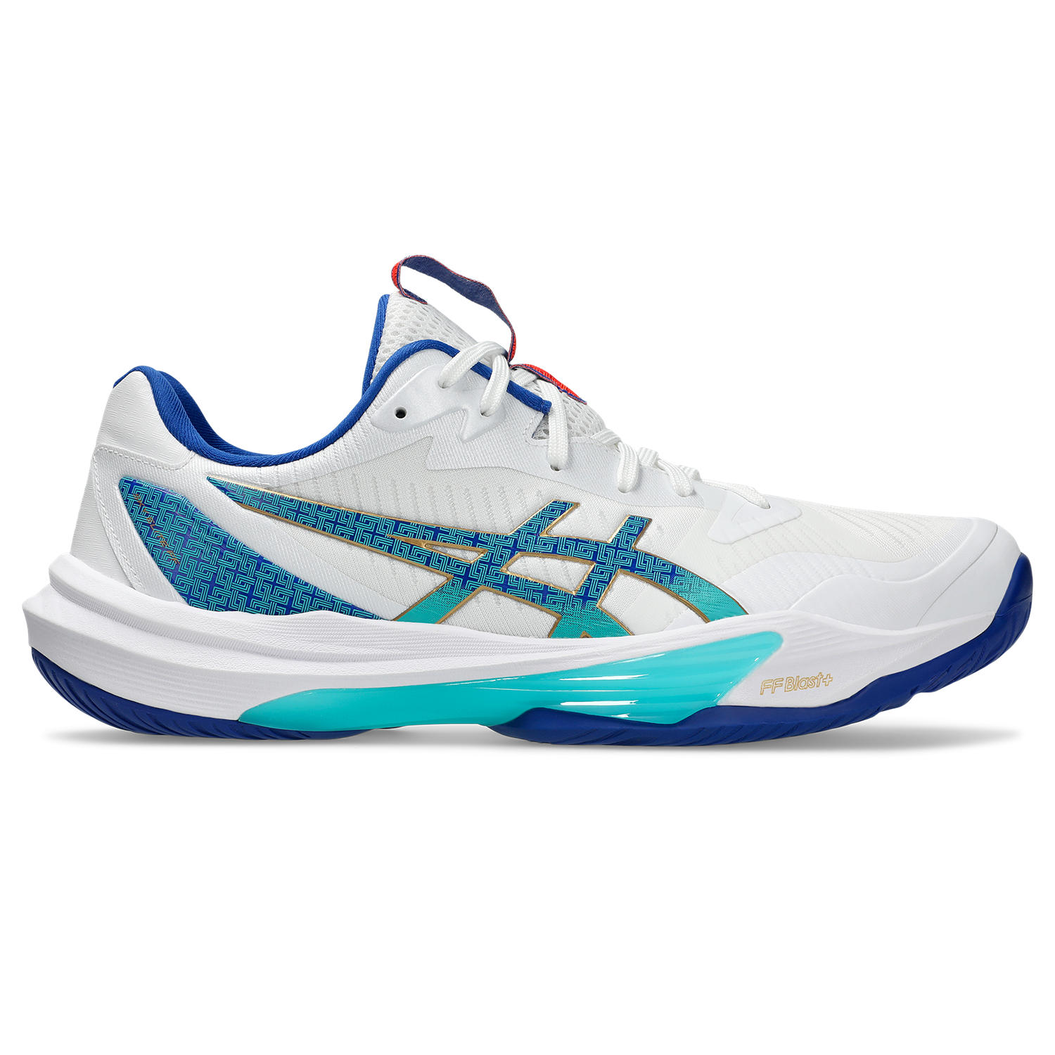 Zapatilla Asics Sky Elite Ff 3 M